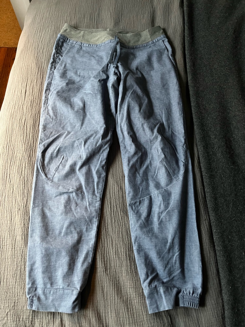 Patagonia blue jogger pants